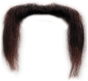 Mustache Long
