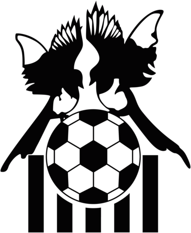 FC Notts County (1990's logo)