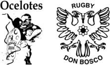 Don Bosco Rugby Ocelotes Grabado