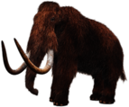 Wooly Mammoth