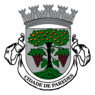 Camara Municipal de Paredes