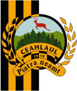 FC Ceahlaul Piatra Neamt