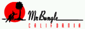 Mr. Bungle