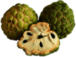 Fresh Sugar Apple