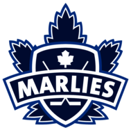 Toronto Marlies 