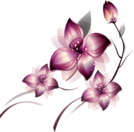 Flowers Purple Group