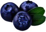 Three Blueberries