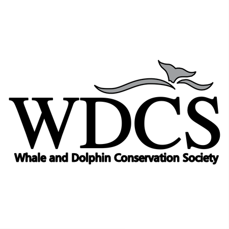 Wdcs