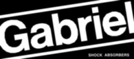 GABRIEL SHOCKS