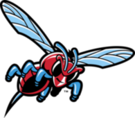 Delaware State Hornets