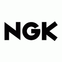 TD Neftegaz (NGK)