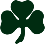 Panathinaikos Centenary Shirt 