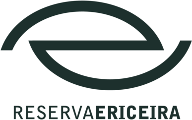 Reserva Ericeira Hotel