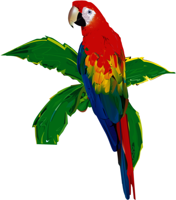 parrot