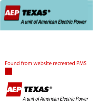 AEP TEXAS