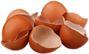 Cracked Eggshells