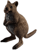 Quokka Figurine