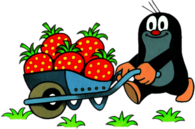 Little Mole Collecting Strawberries In A Wheelbarrow