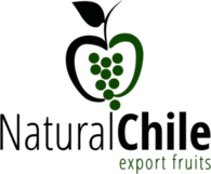 Natural Chile Export Fruits
