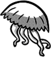 Grey Jellyfish Drawing