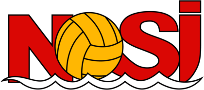 NSÍ Runavík (1990's logo)