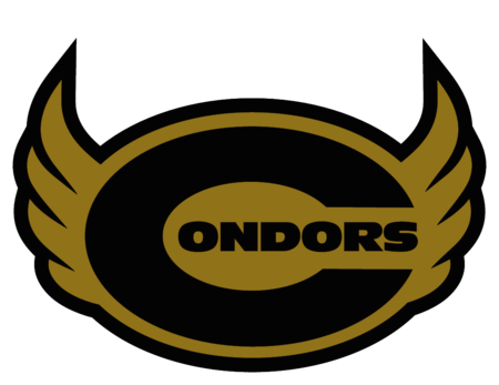 Condors de la Ciudad de México