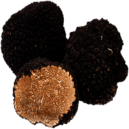 Black Truffles