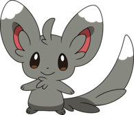 Minccino Pokemon