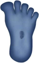 Smallfoot Footprint