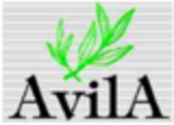 AvilA Solutions