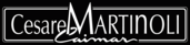 Cesare MARTENOLI Caimar Srl