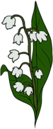 Lily of the Valley Drawing