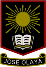 Colegio Mártir José Olaya