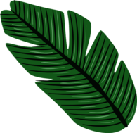 Tropical Leave