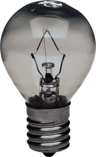 Detailed Bulb