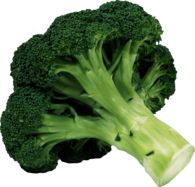 Broccoli