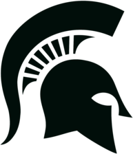MSU Helmet