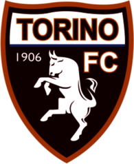 Torino calcio