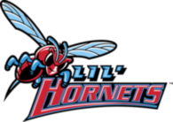 Delaware State Hornets