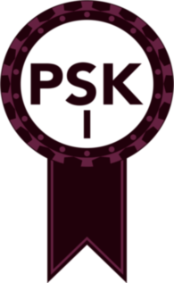 Professional Scrum with Kanban I