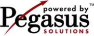 Pegasus Solutions