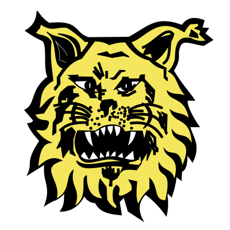 Footbal Club Ilves De Tampere