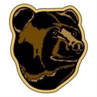 Boston Bruins
