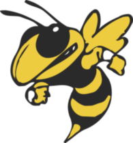 Georgia Tech Yellow Jackets