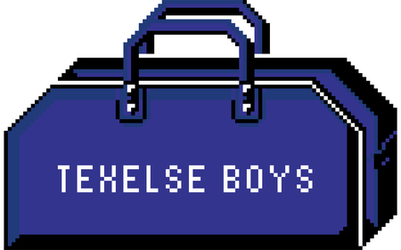 Texelse Boys