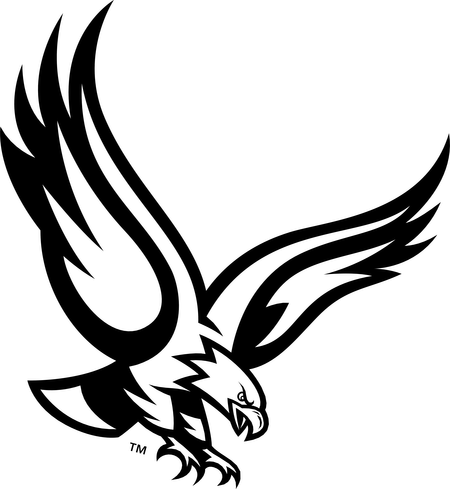 Boston College Eagles