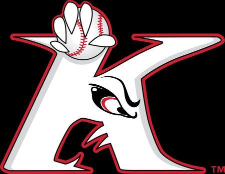 Kannapolis Intimidators
