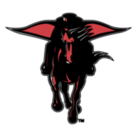 Texas Tech Red Raiders