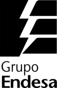 Endesa Grupo