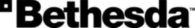 Bethesda Softworks